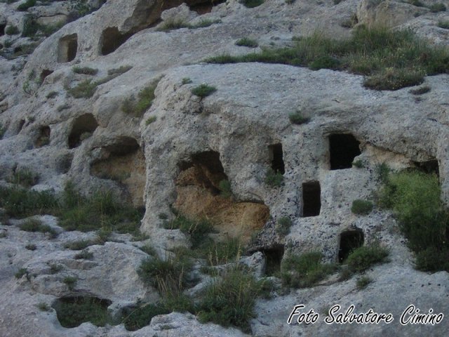 DSCN3196 (Copia)